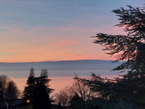 Le Mirabeau Vue Lac